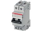 Disgiuntore SMISSLINE CLASSIC 2×8 C 6kA