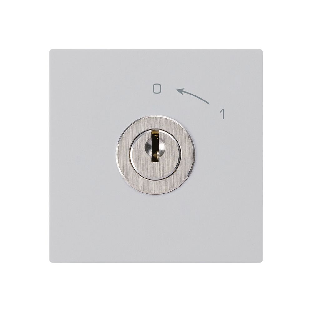 Schwenktaster 0<-1/2L hellgrau kallysto mit Schloss Kaba 8