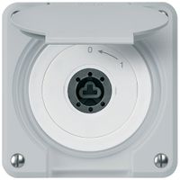 UP-Schlüsselschwenktaster robusto IP55 grau Deckel o.Zylinder 1P für Kombination