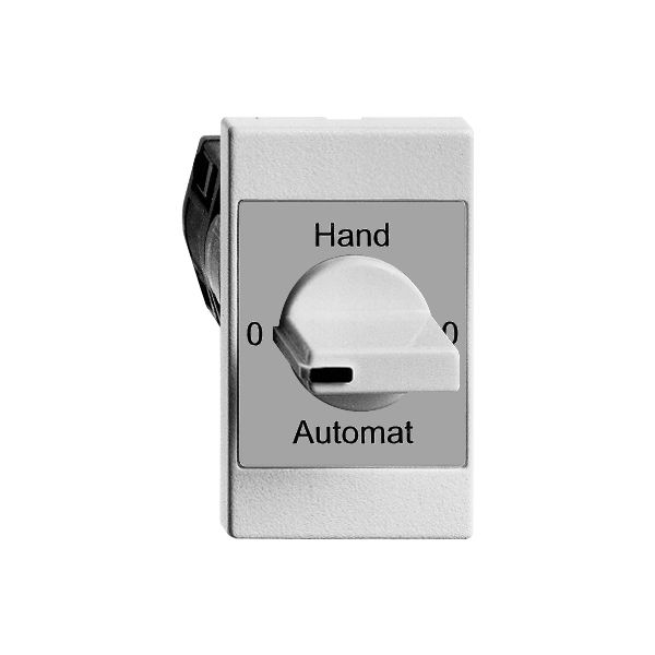 Interrupteur rotatif INC 0-Hand-0-Auto FH 2/1L blanc, avec manette