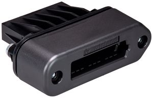 Endstück Wieland podis für Flachkabel mit UV-Schutz IP65 schwarz