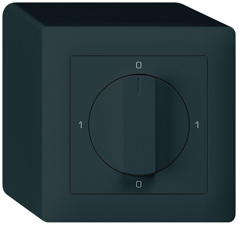 AP-Drehschalter kallysto 3/1L schwarz mit Drehgriff