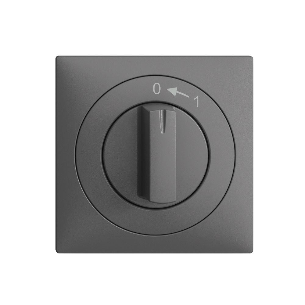 Frontset EDIZIOdue 0<-1 dunkelgrau 60×60mm für Schwenktaster