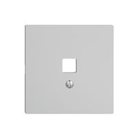 Frontset EDIZIOdue hellgrau 60×60mm für Datenschnittst.USB