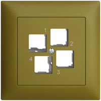 UP-Montageset EDIZIOdue FMI EASYNET S-One, für 4×RJ45, geradeauslass, olive