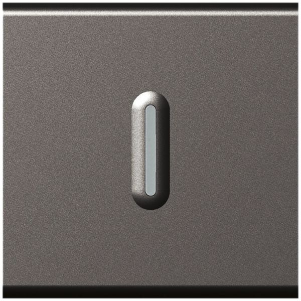 EB-Leuchtwippschalter MOS 3/1L 10A magnesium 2 Module