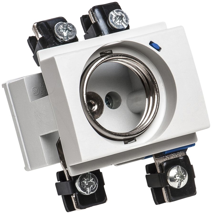 EB-Sicherungselement Schneider Electric 1×63A+N 63×45mm rechteckig