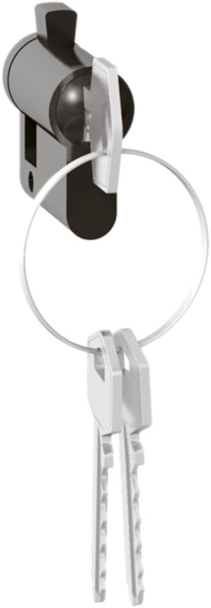 Schlosszylinder mit 3 Schlüssel