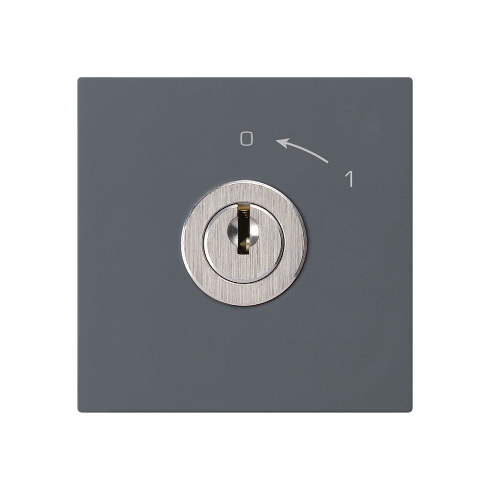 Contact pivotant 0<-1/2L anthracite KAL avec serrure Kaba 8