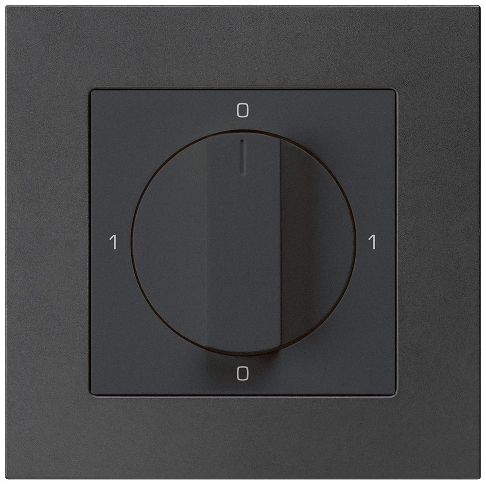 UP-Drehschalter kallysto.pro 0/2L schwarz mit Drehgriff