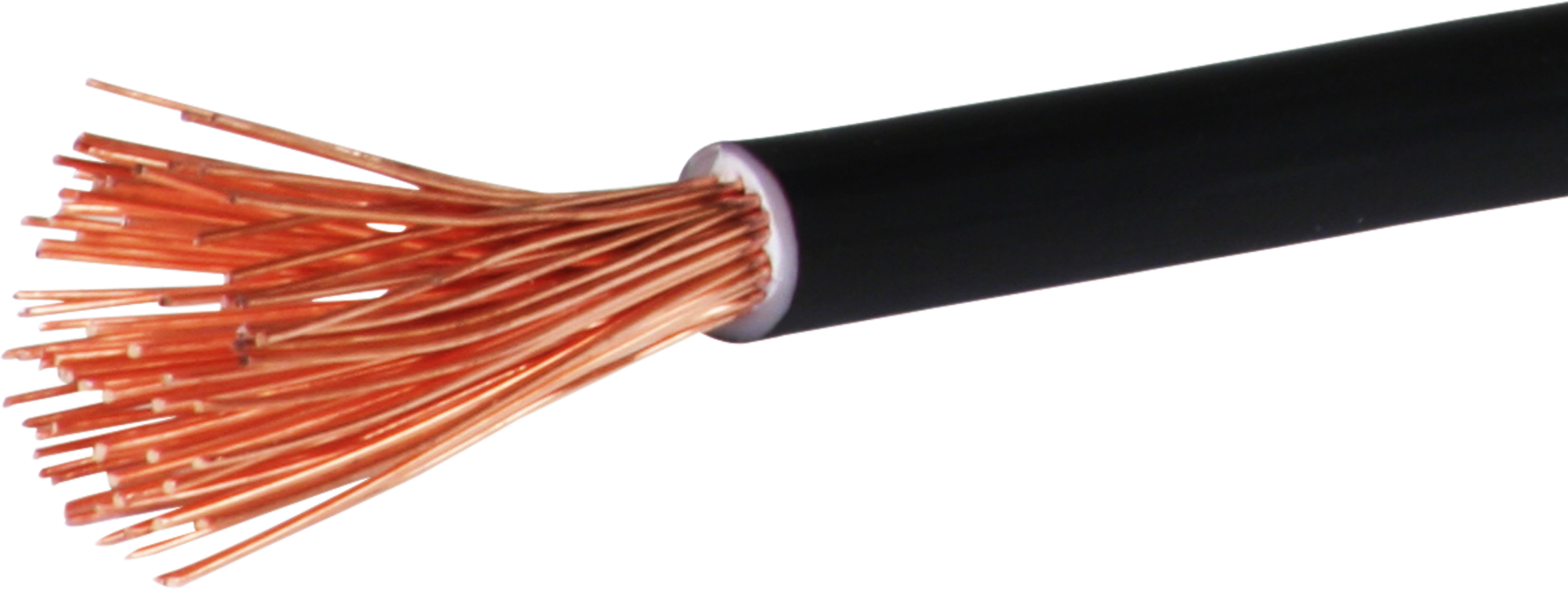 Toron T 10mm² noir Eca