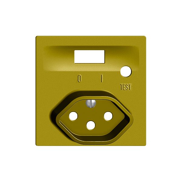 Kit frontal EDIZIOdue pour prise FI olive