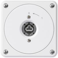 UP-Schlüsselschwenktaster robusto weiss o.Deckel o.Zylinder 2P für Kombination