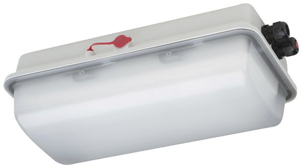 LED-Rettungszeichenleuchte Ex SCHUCH e856F L05/3/2.5 6W 510lm