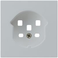 Frontplatte kallysto T25 hellgrau 60×60mm für Steckdose T25