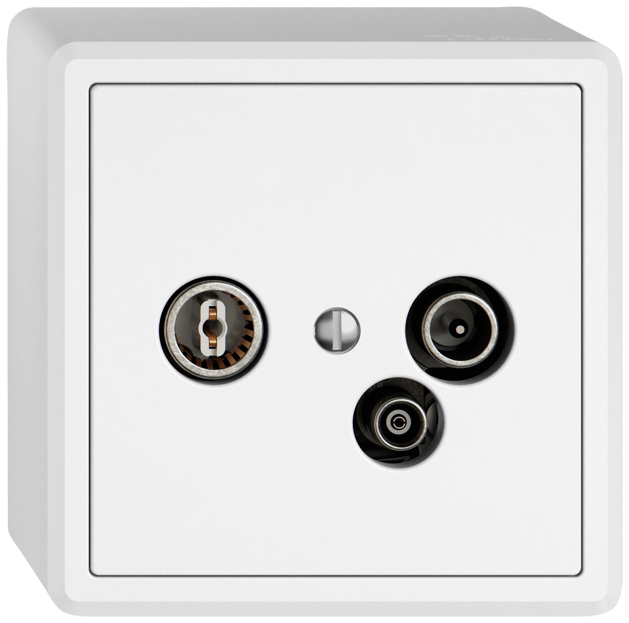 AP-Antennendose TV-R-Daten EDIZIO.liv SNAPFIX® 15dB ws