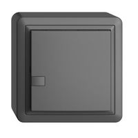 AP-KNX-Taster RGB EDUE, 250mW, o.LED, 1×Taste, 1×Tastenb., dgu