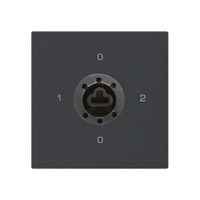 Intérieur interrupteur à clé kallysto 2/1L noir p.serrure de sûreté s.cylindre