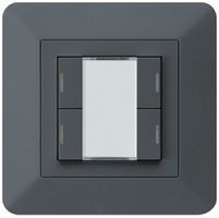 Poussoir ENC kallysto.trend KNX 4×LED RGB s/e-link anthracite