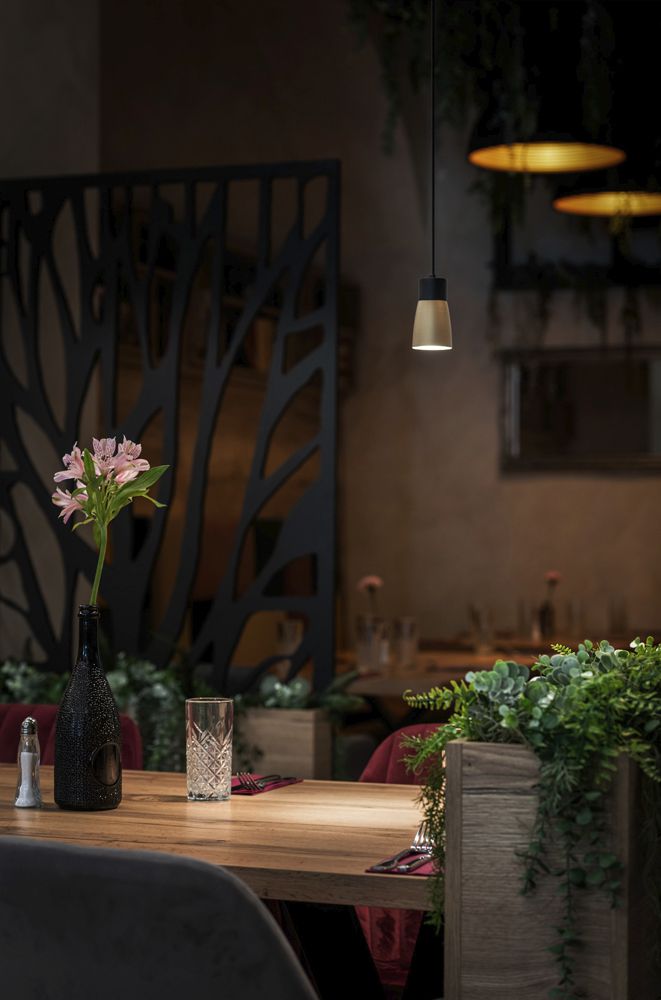 Pendelleuchte SLV PURI 2.0 Dome AD1PH GU10 1×6W DIM Ø55mm schwarz/gold