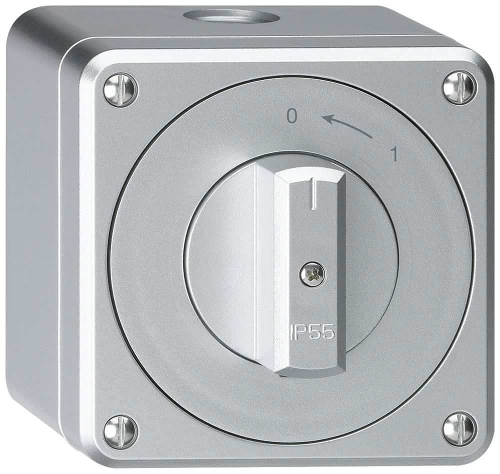 AP-Schwenktaster robusto IP55 aluminium 2P