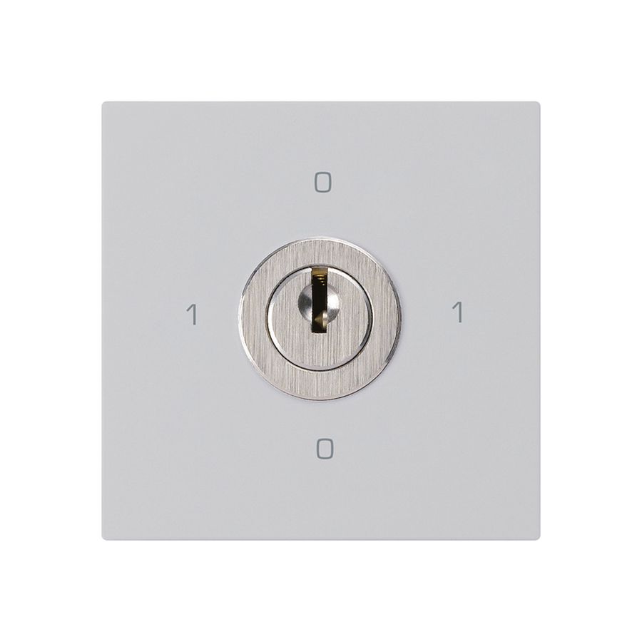 Intérieur interrupteur à clé kallysto 0/3L gris clair avec serrure Kaba 8