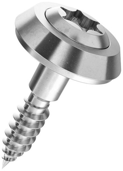 Vite per facciata a testa bombata SFS Ferronorm T25 4.5×80mm