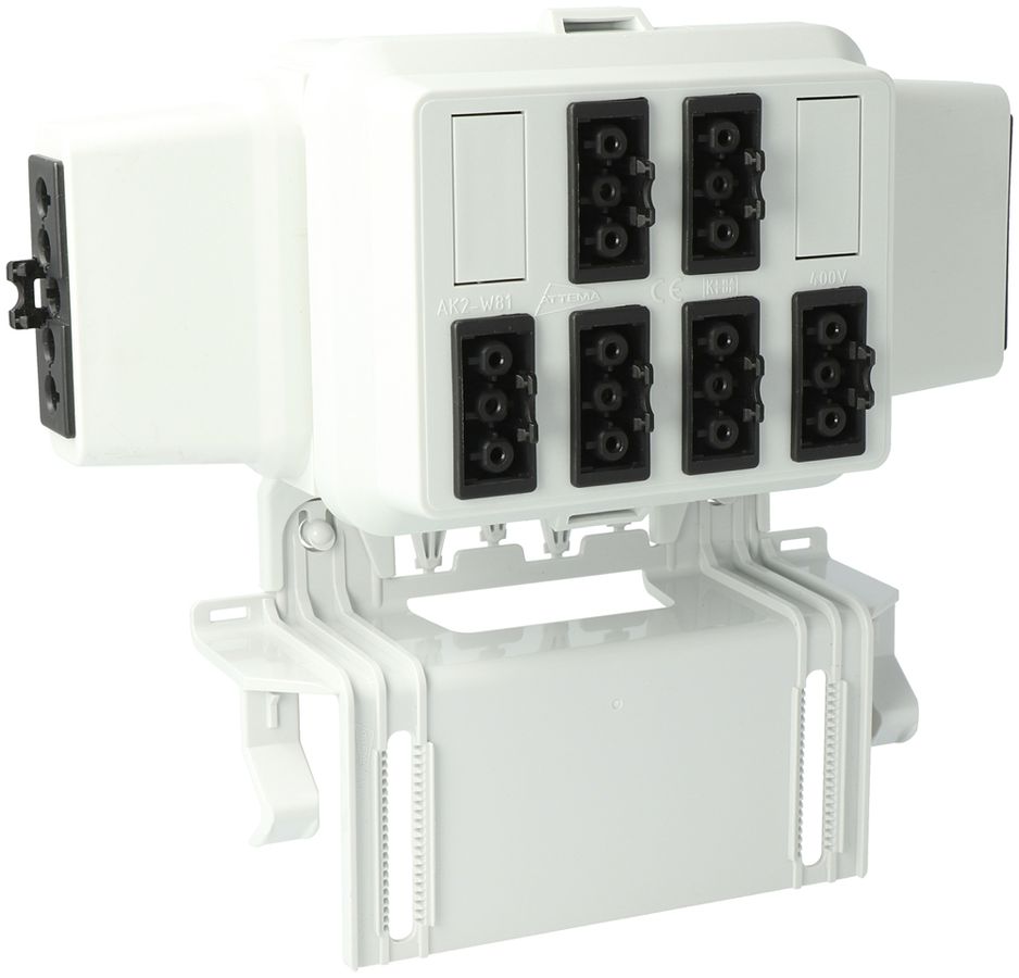 Scatola AGRO, in: 5P ne, out: ogni 2×3P ne L1/L2/L3, Wieland