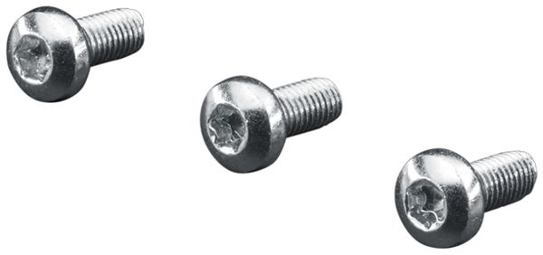 Schraube Rittal SZ 2489.500 12mm TX M5 Linsenkopf 500Stk