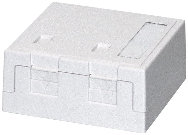 AP-Anschlussdose KS Dätwyler weiss für 2 Module mit Staubschutz