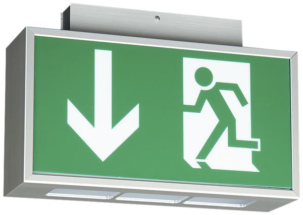 LED-Not-/Hinweisleuchte CALR LED PL+T-D, mit Autotest, 3h, Decke