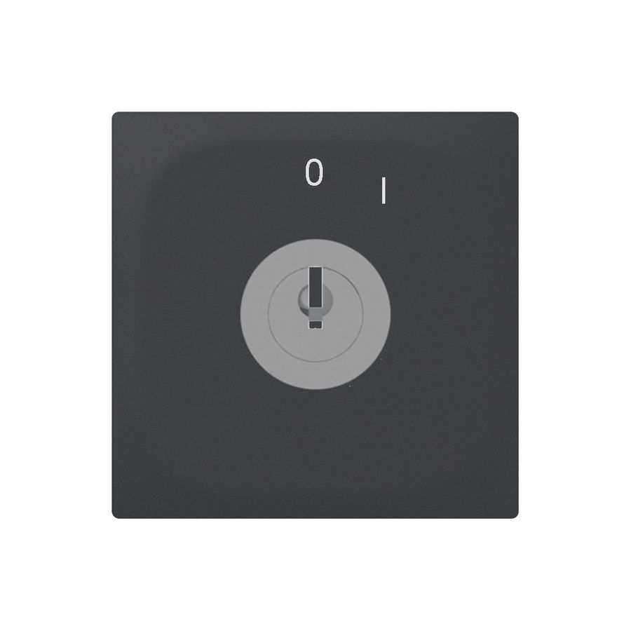 Pulsante rotativo INC SIDUS E 1CL SS antracite