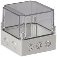 Apparategehäuse RW CUBO S 125×125×125 SPCM transparent