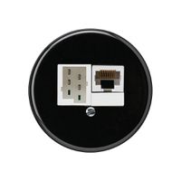 Einsatz zu UP-Dose basico 1×RJ45u+1×TT83 schwarz