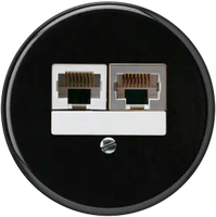 Einsatz zu UP-Dose basico 2×RJ45s+u getrennt schwarz