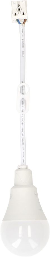 Luminaire de chantier LED MAX HAURI 9W 900lm 4000K câble 170mm avec borne IP20