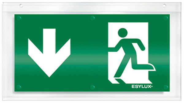 Plaque avec pictogramme ESYLUX pour SLX flèche vers le bas