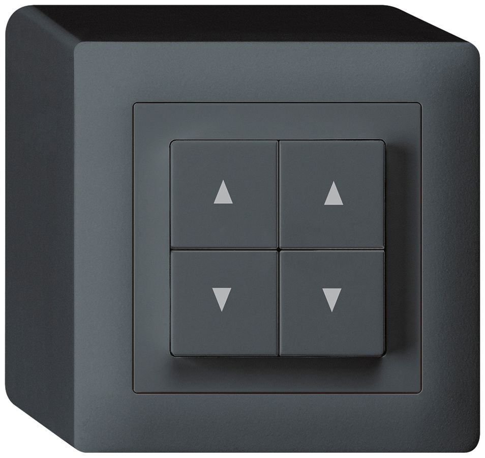 AP-Storentaster kallysto anthrazit mit 4 Funktionstasten