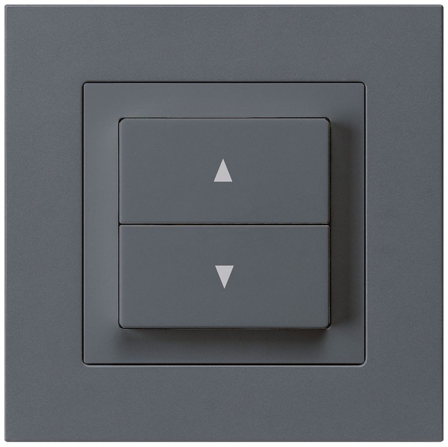 UP-Storentaster kallysto.pro anthrazit mit 2 Funktionstasten Steckklemme