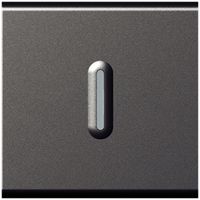 Contact à bascule lum.INC MOS ARL 6A magnésium 2modules