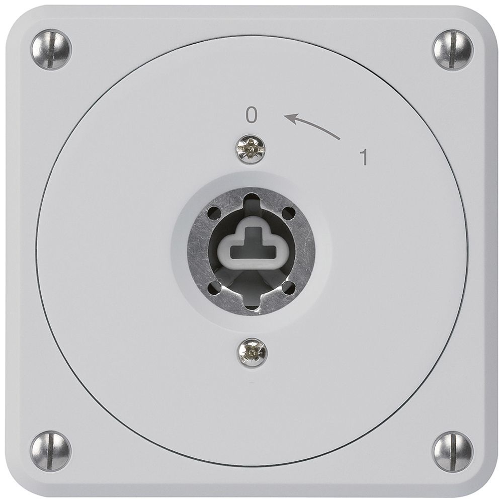 UP-Schlüsselschwenktaster robusto grau o.Deckel o.Zylinder 2P für Kombination