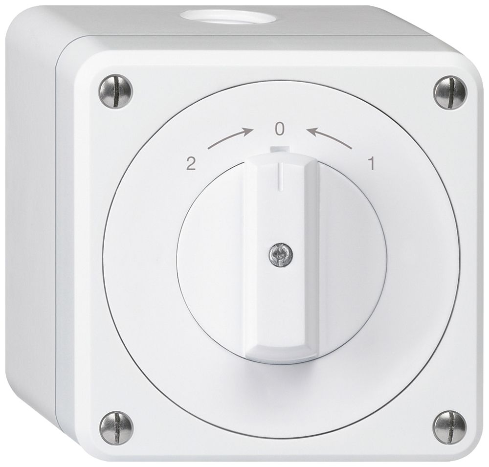 AP-Schwenktaster robusto IP55 weiss Wechsler