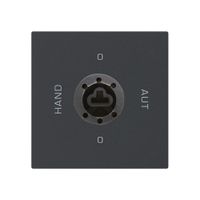 Einsatz zu Schlüsselschalter 0-Hand-0-Aut. kallysto 2/1L schwarz für Schloss