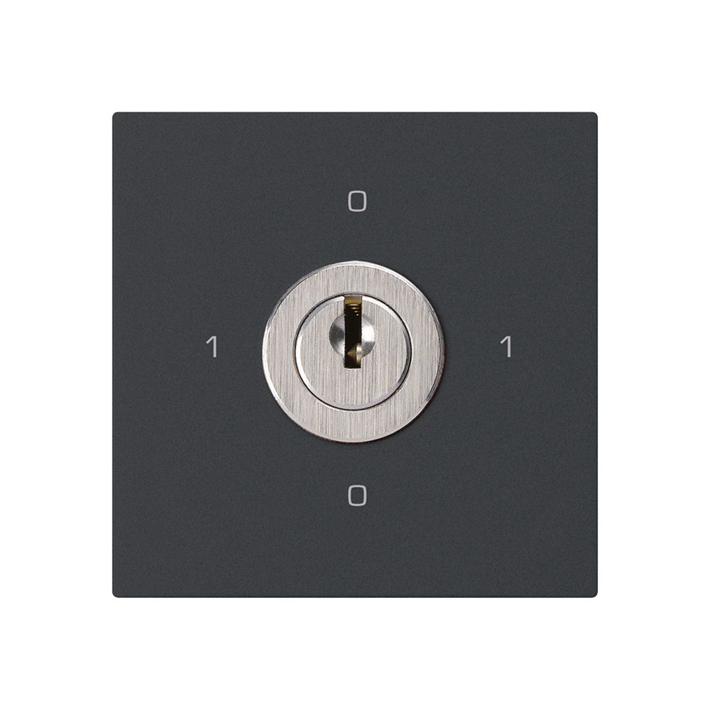 Intérieur interrupteur à clé kallysto 0/2L noir avec serrure Kaba 8