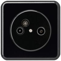 UP-Antennendose TV-R-Daten basico C 19dB schwarz