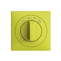 Frontset EDIZIOdue Auf->I<-Ab lemon 60×60mm für Schwenktaster