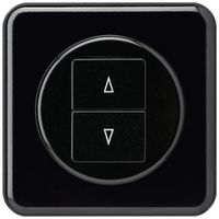 UP-Frontset basico schwarz 86×86mm für Storenschalter/taster 2-fach