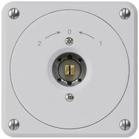 UP-Steckschlüsselschwenktaster robusto grau ohne Deckel Wechsler Kombi Vierkant