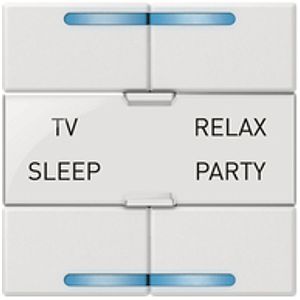 Poussoir de scène ENC MyHOME blanc, 4 fois bus-SCS