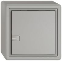 Poussoir KNX RGB AP EDIZIO.liv SNAPFIX® capteur temp.RGB-LED 1× comm.1T grc